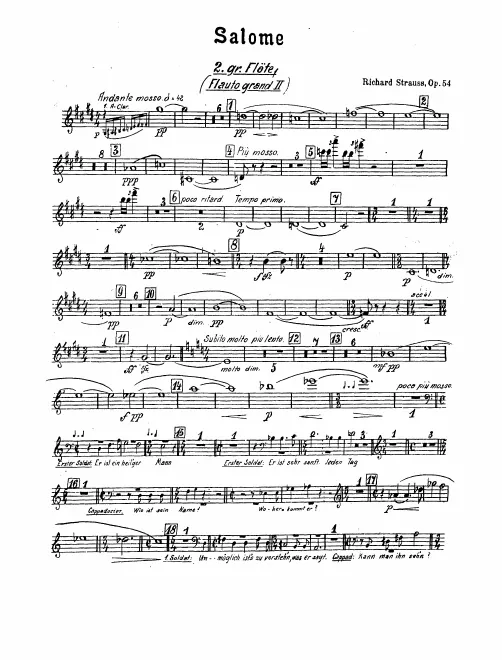 Flute 2