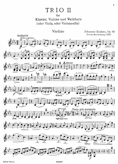 Violin