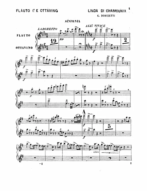 Flute 1/2 (also Piccolo)