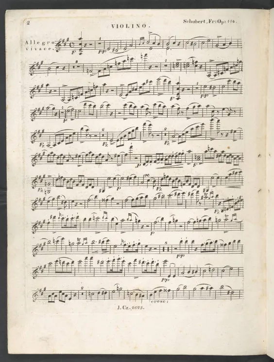 Violin