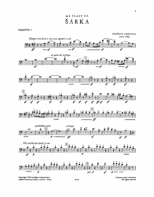 Bassoon 1