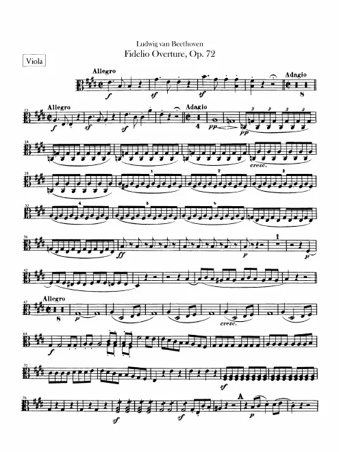 Violas