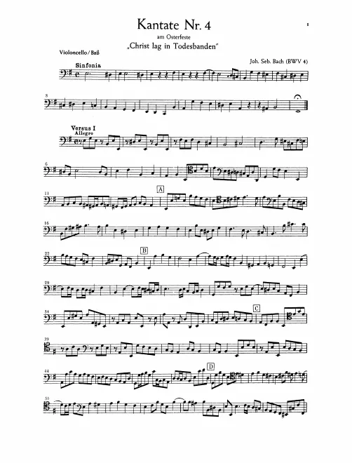 Cellos/Basses