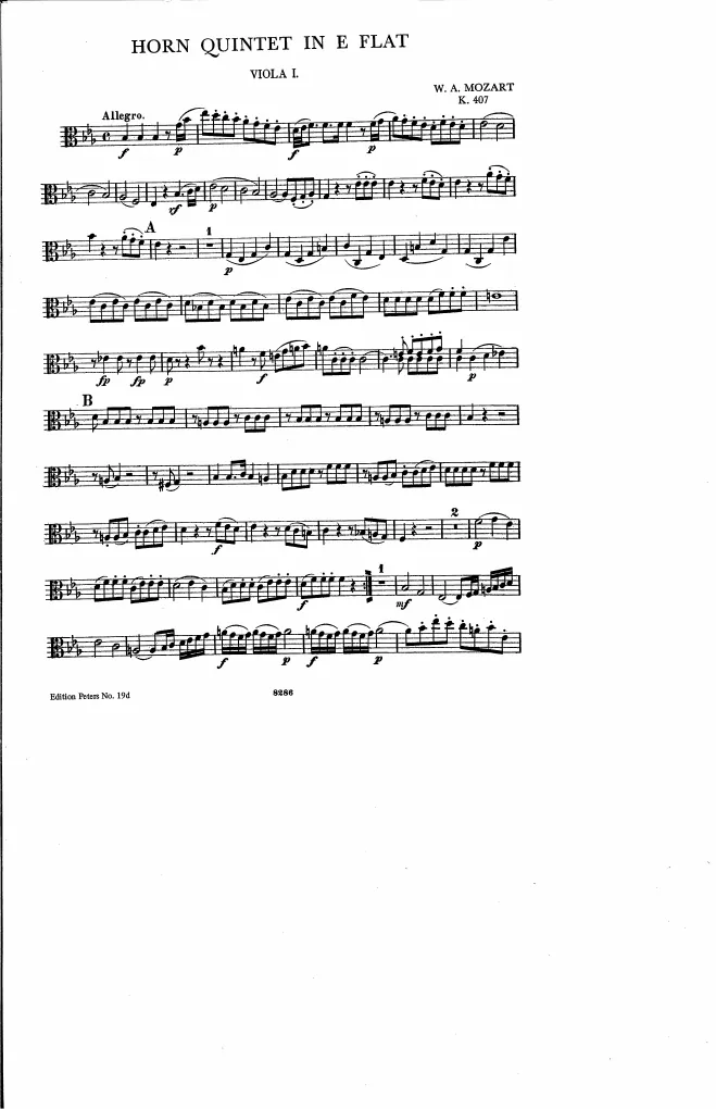 Viola 1