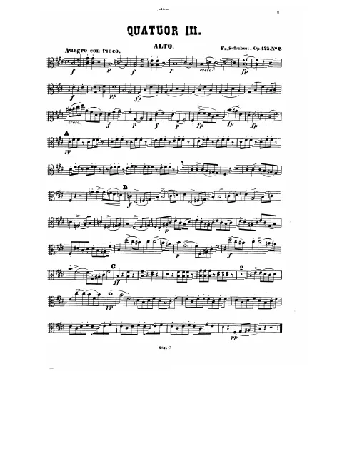 Viola