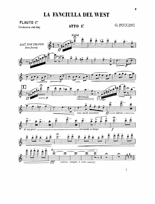 Flute 1