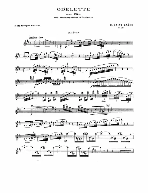 Flute solo