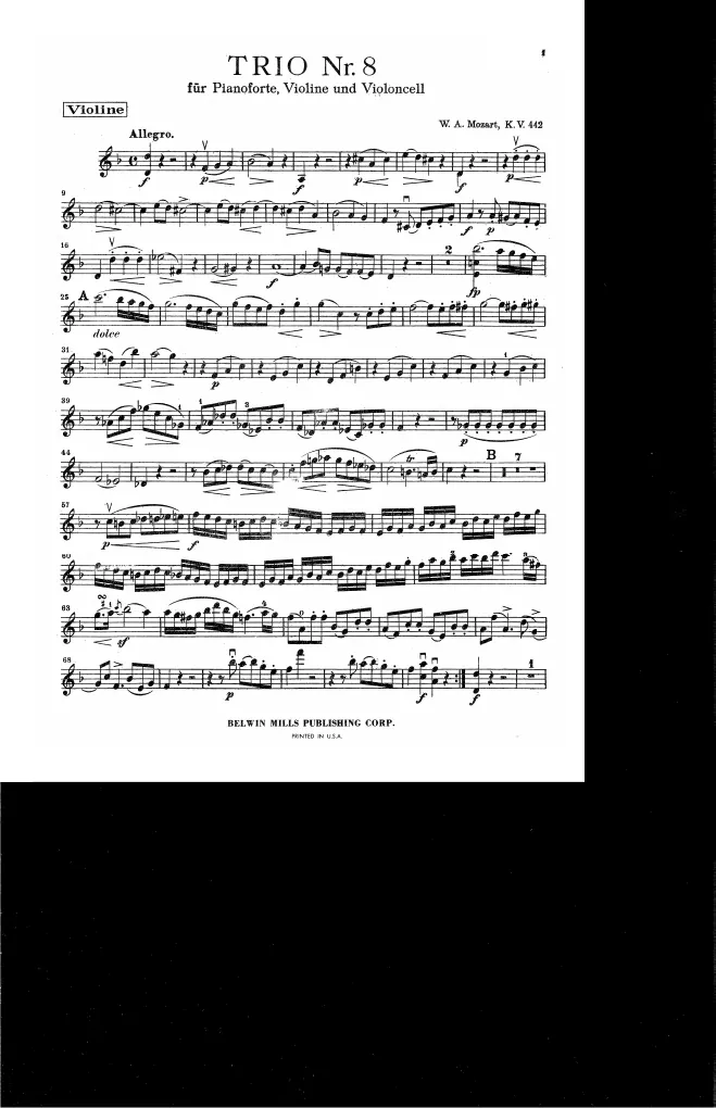Violin