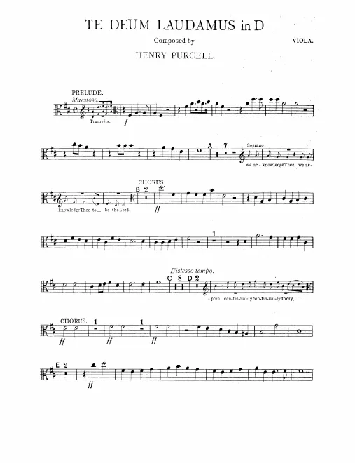 Violas