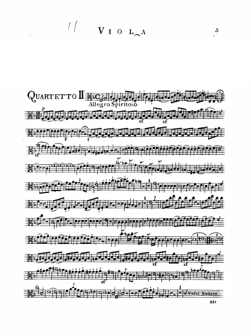 Viola