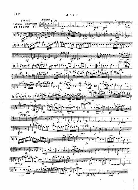 Viola
