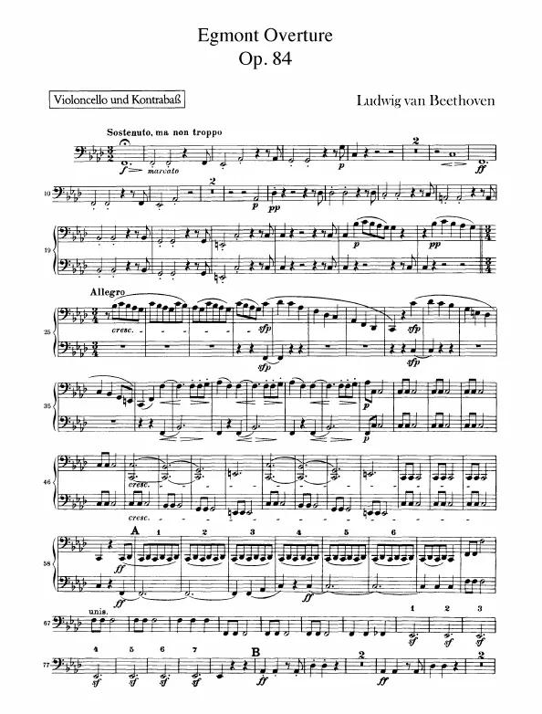 Cellos/Basses