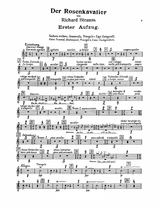 Snare Drum/Glockenspiel/Triangle/2 Castanets