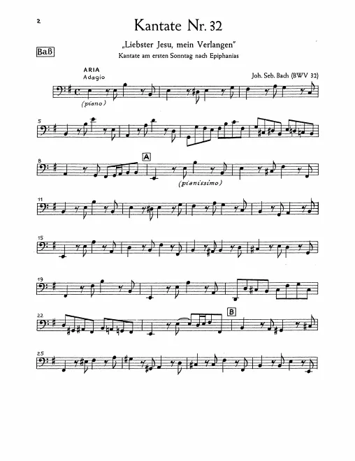 Cellos/Basses