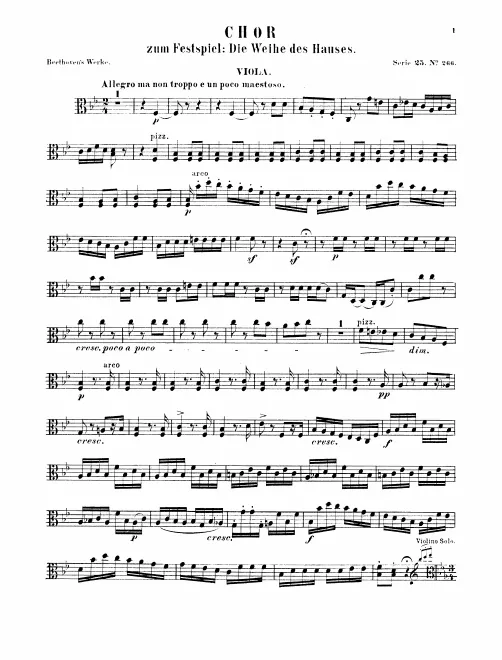 Violas