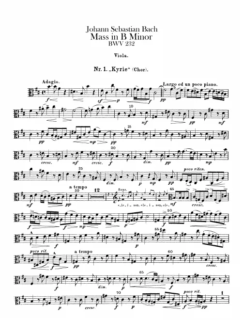 Violas
