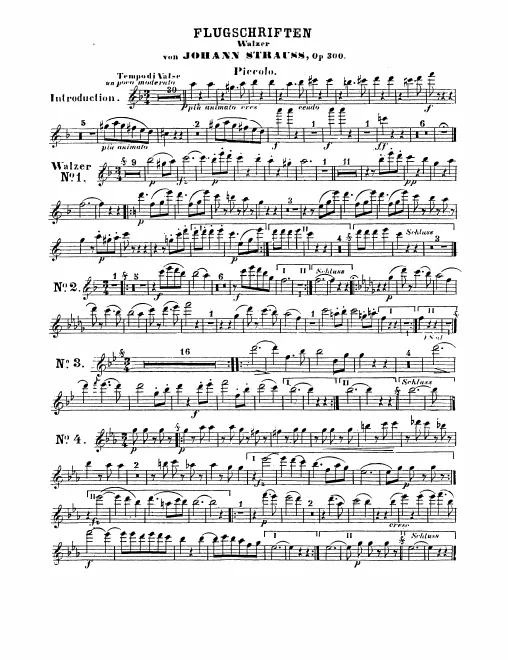 Piccolo, Flute