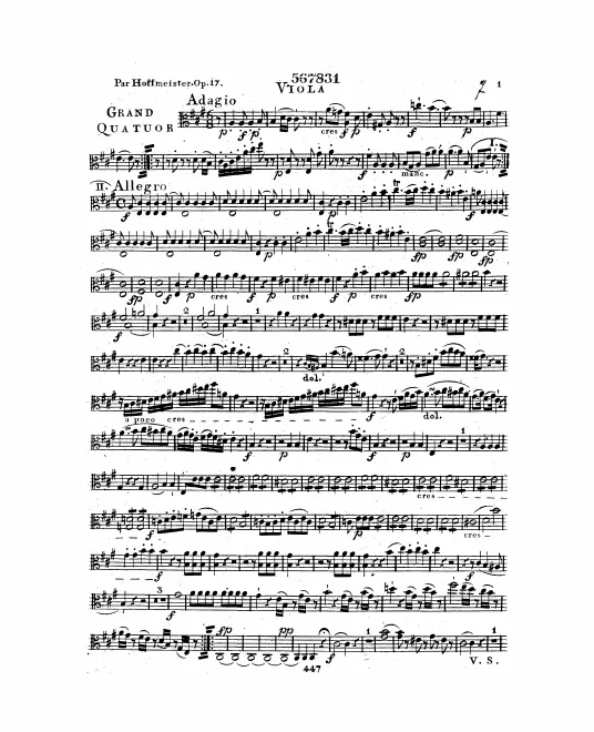 Viola