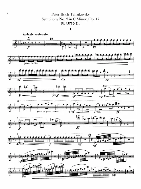 Flute 2