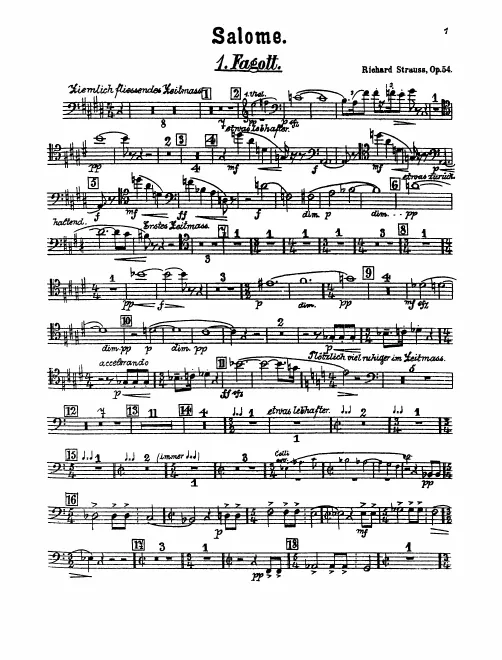 Bassoon 1