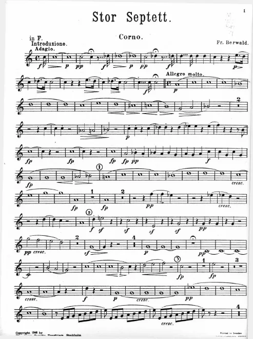 Horn (F/E)