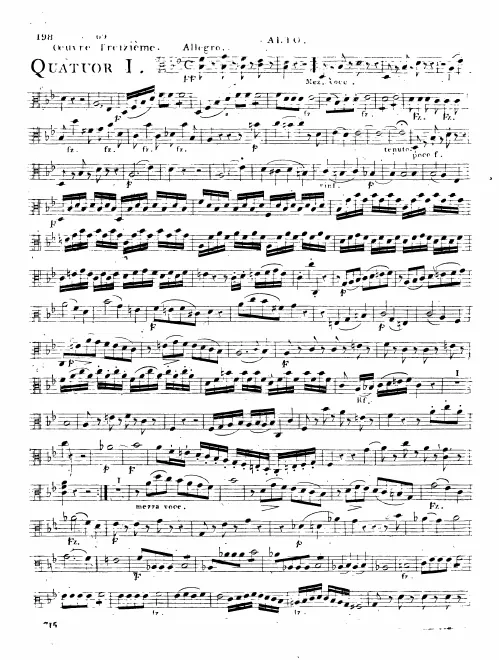 Viola