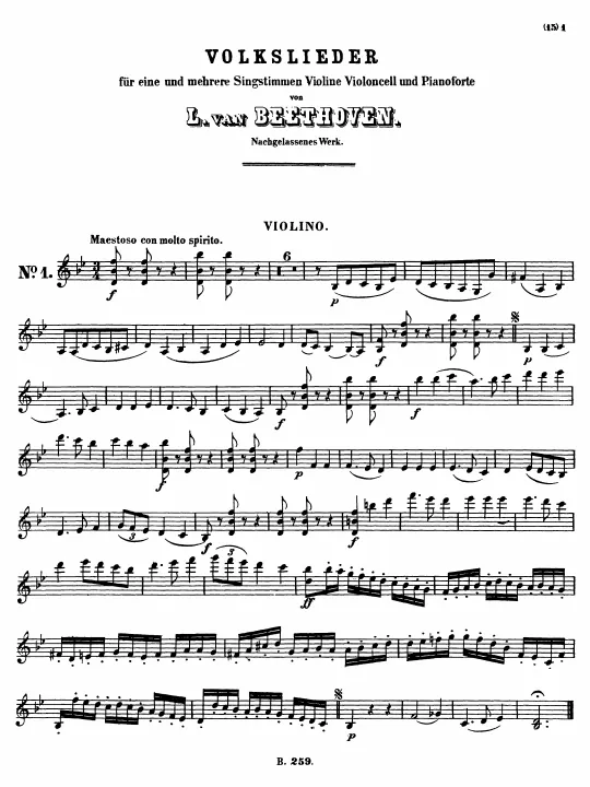Violin