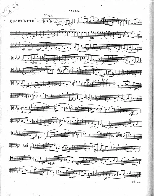 Viola