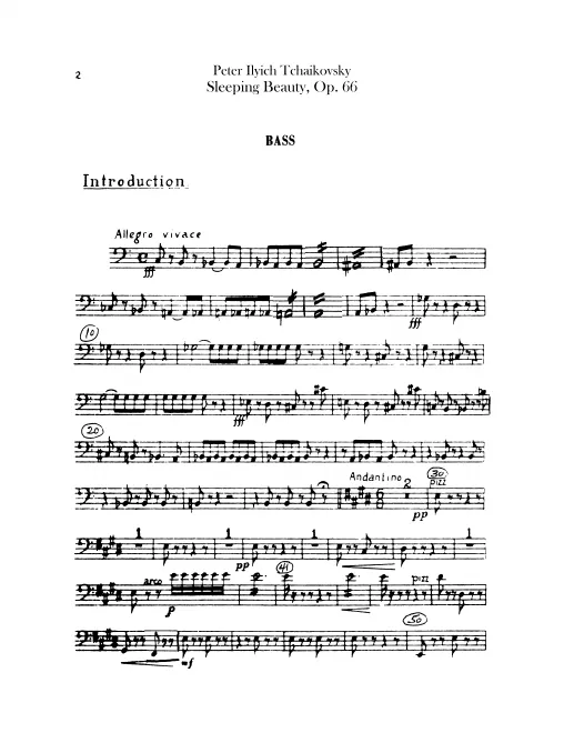 Basses