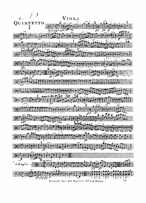 Viola