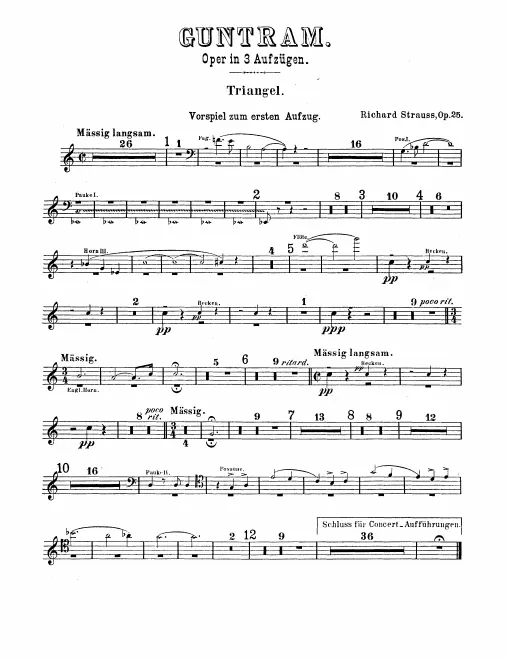 Triangle, Small Cymbals, Bass Drum/Large Cymbals