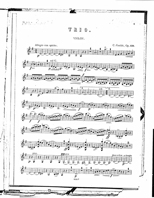 Violin