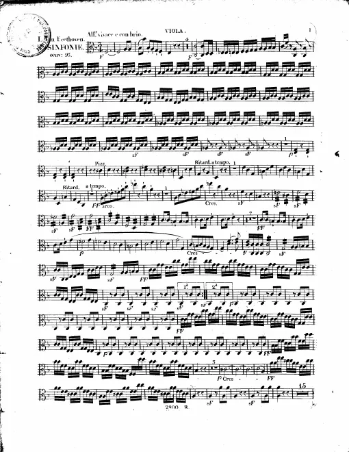 Violas