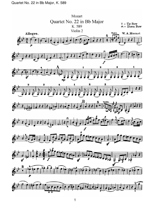 Violin 2
