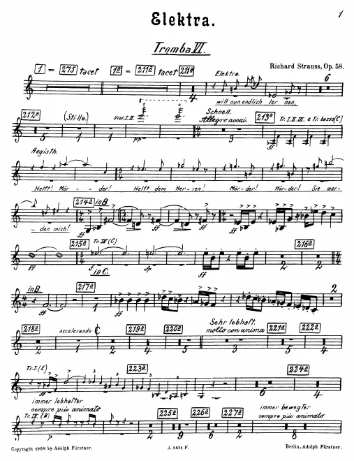Trumpet 6