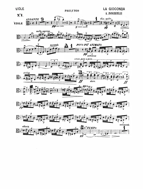 Violas