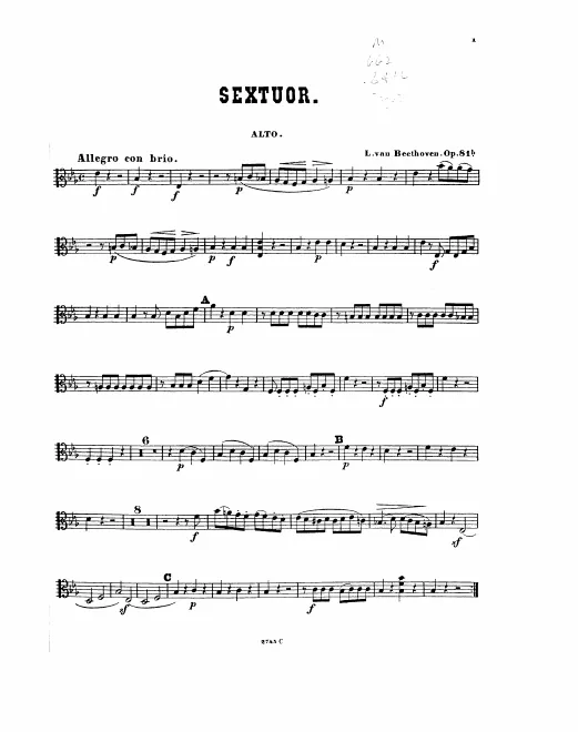 Viola