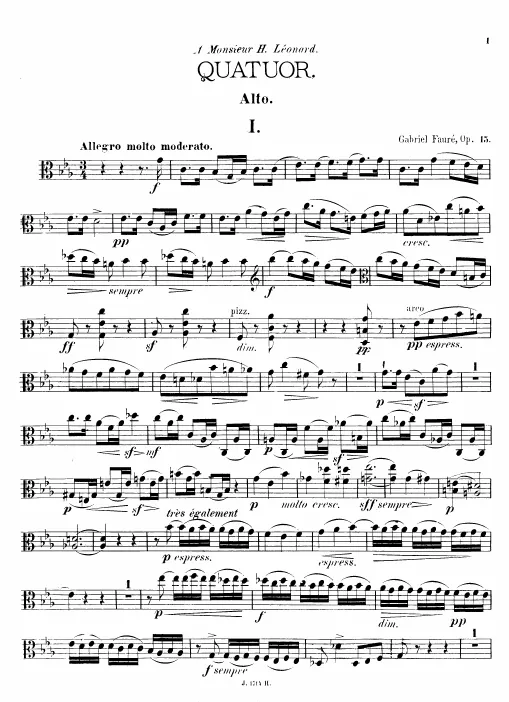 Viola