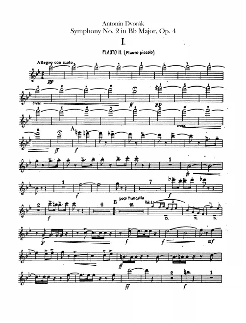 Flute 2