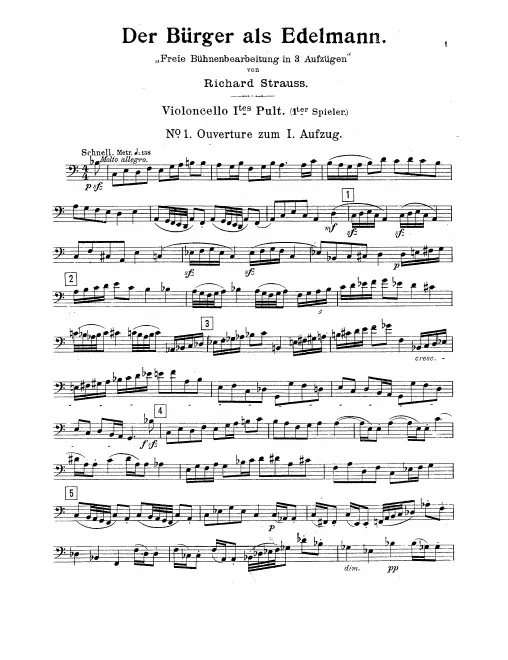 Cello 1 (Player 1)