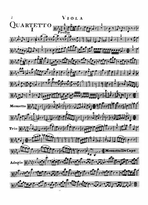 Viola