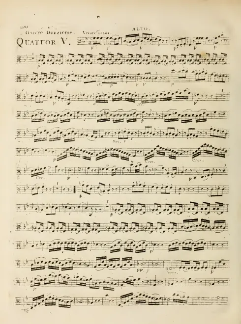 Viola