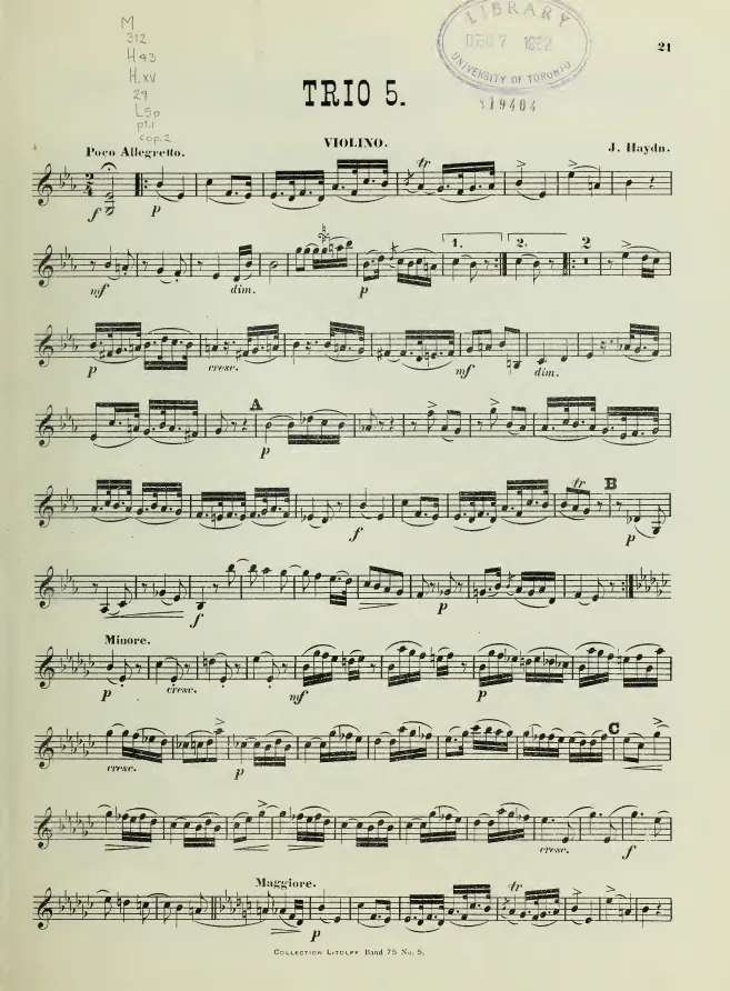 Violin