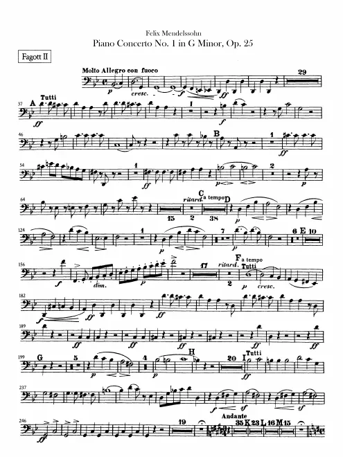 Bassoon 2