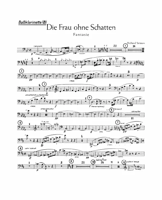 Bass Clarinet (B)