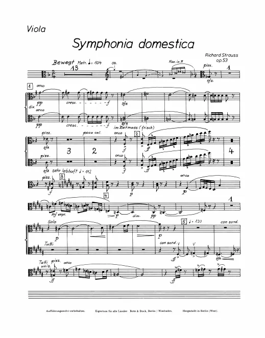 Violas