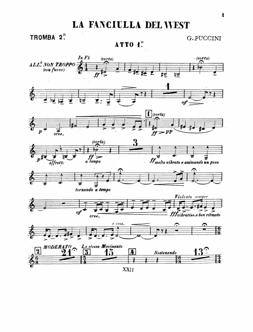 Trumpet 2