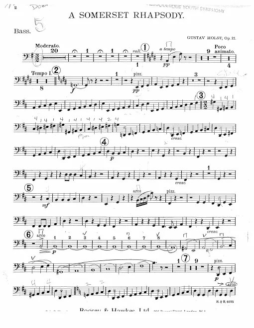 Basses