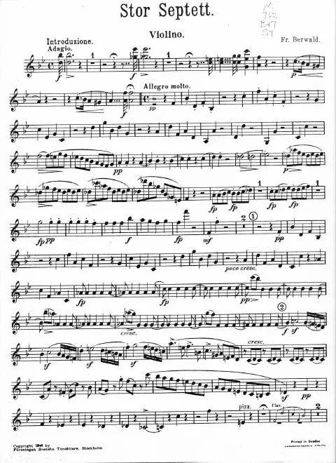 Violin