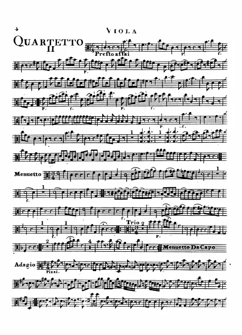 Viola